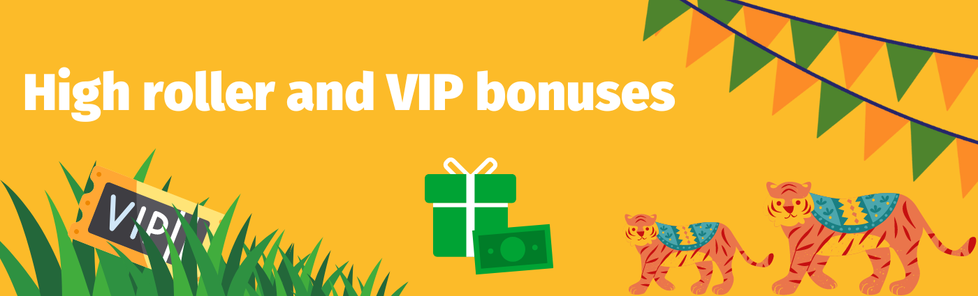 high-roller-and-vip-bonuses-for-indian-online-casinos